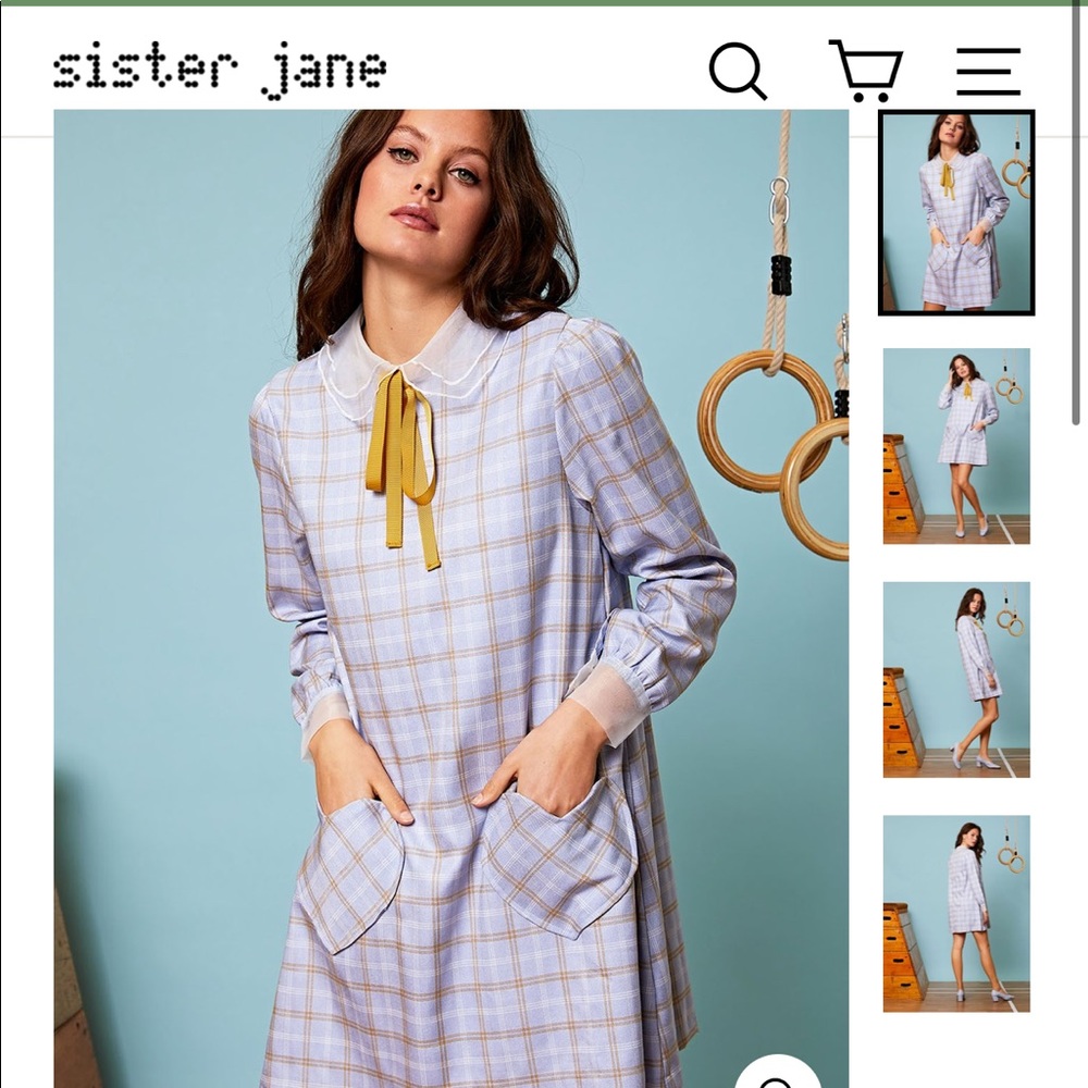 Sister Jane dress. Sold out on their website!